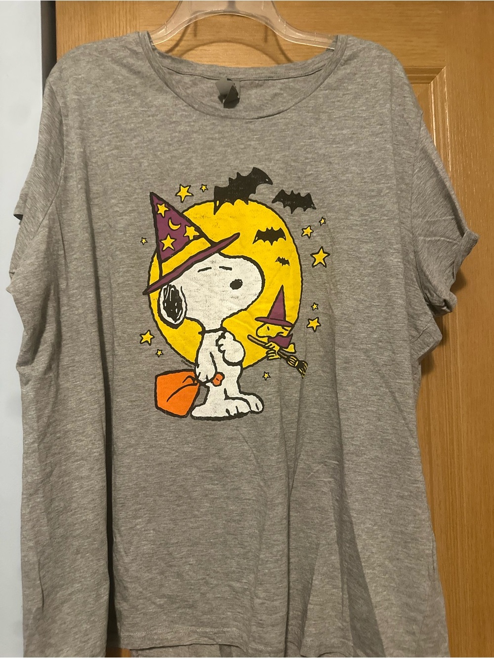 Gray Snoopy Halloween Graphic Short Sleeve Tee